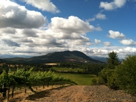 Vineyards, clouds, and Mount Konocti